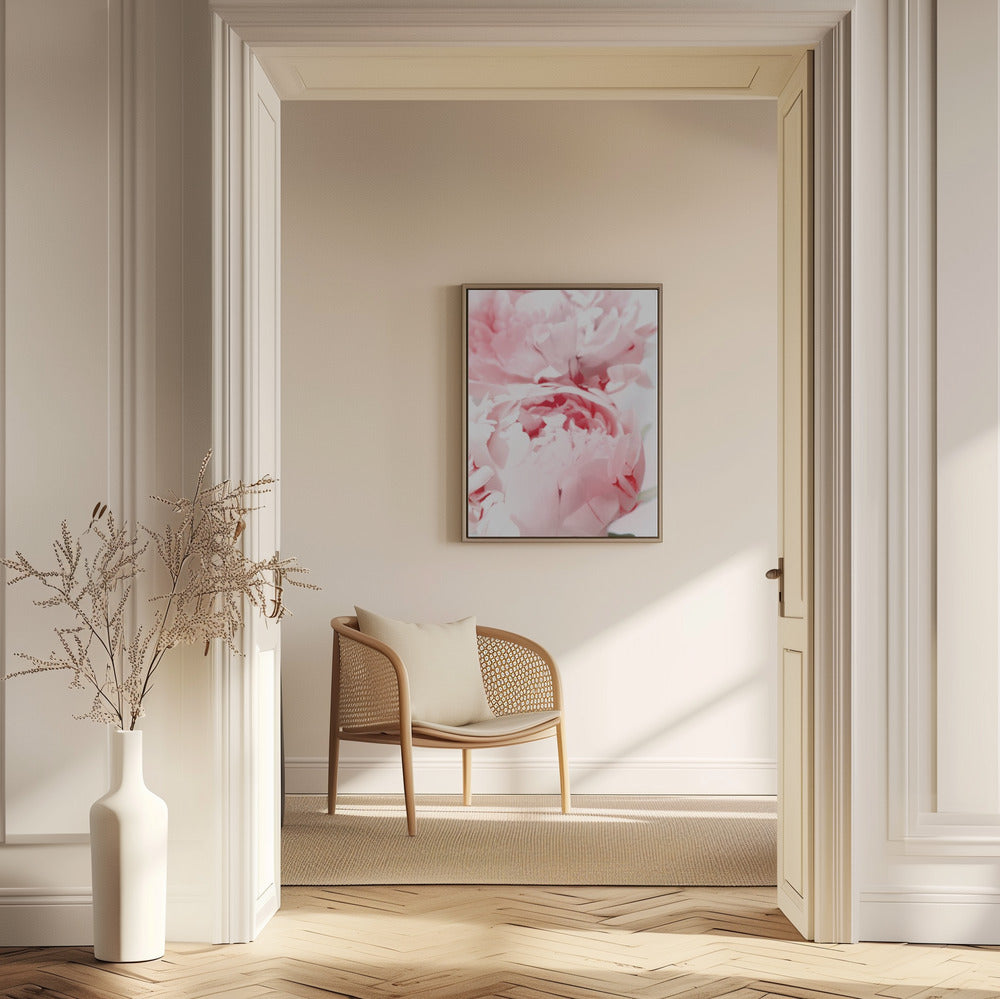Bllush peony X | Poster