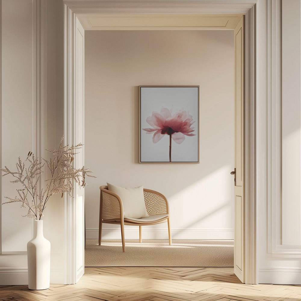 Pink Peony | Poster
