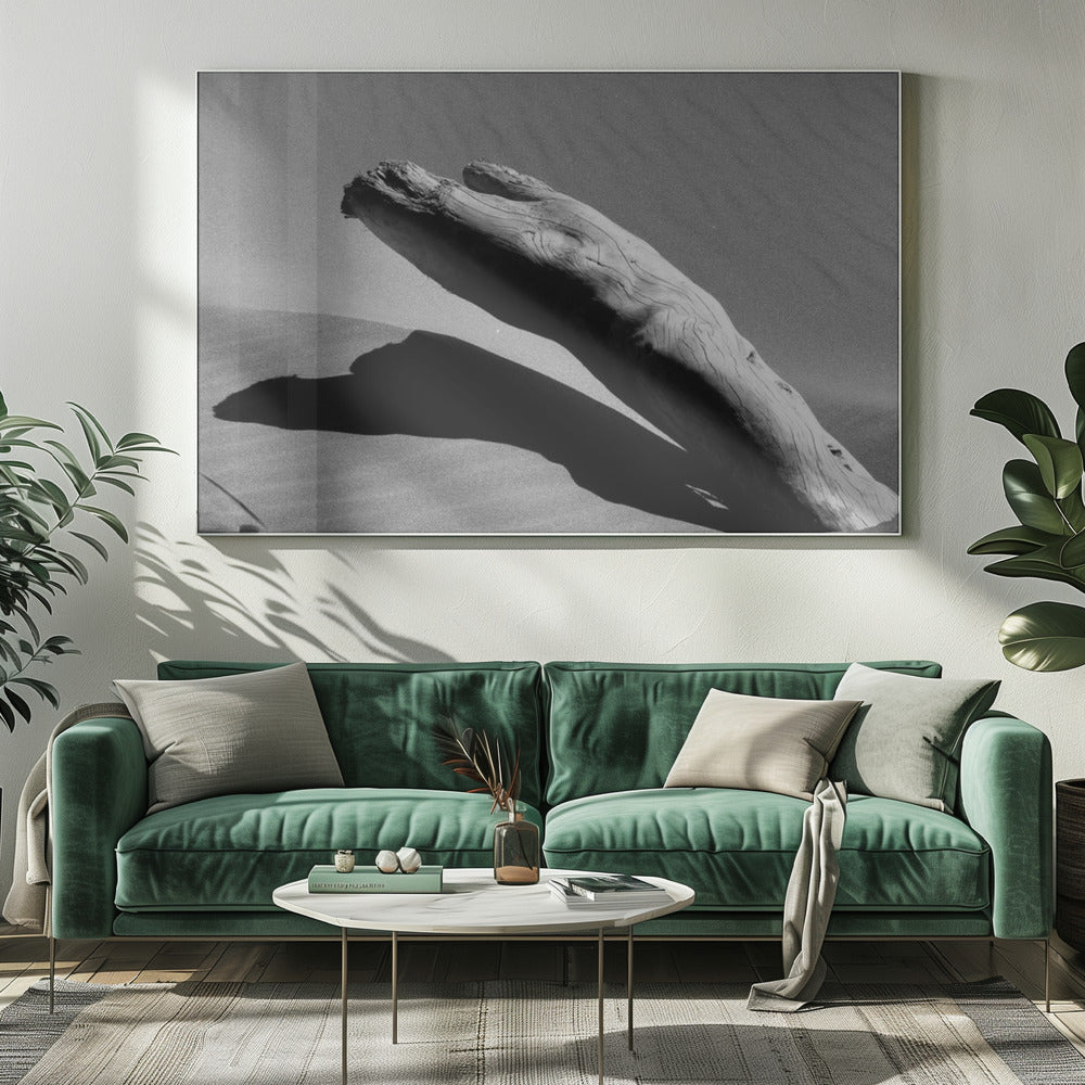 Daarom | Canvasprints