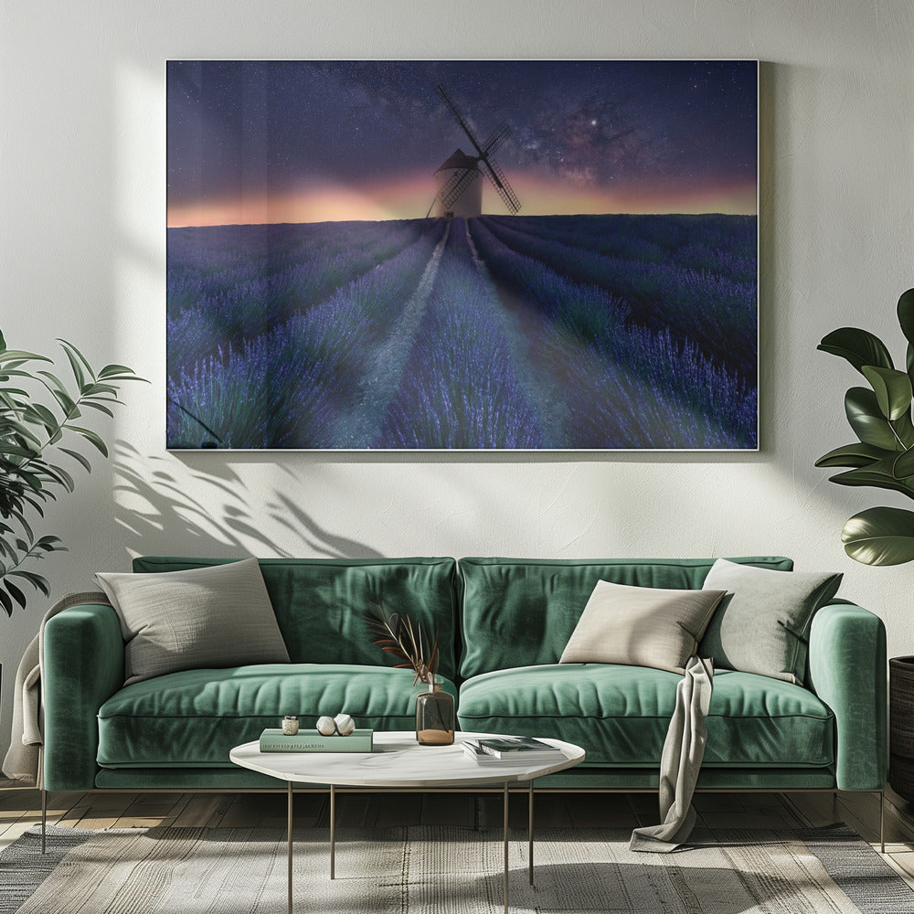 Lavender night | Canvas