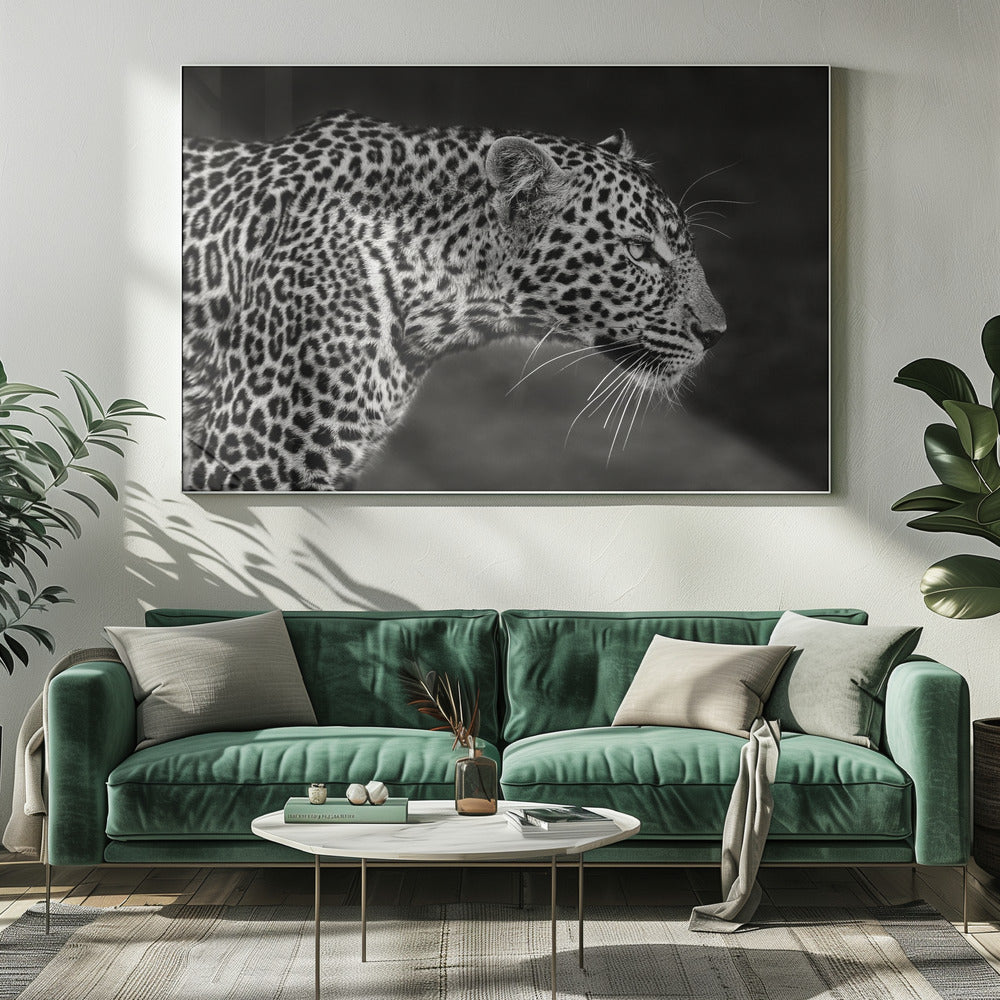 Leopard på nært hold | Lerretsbilder