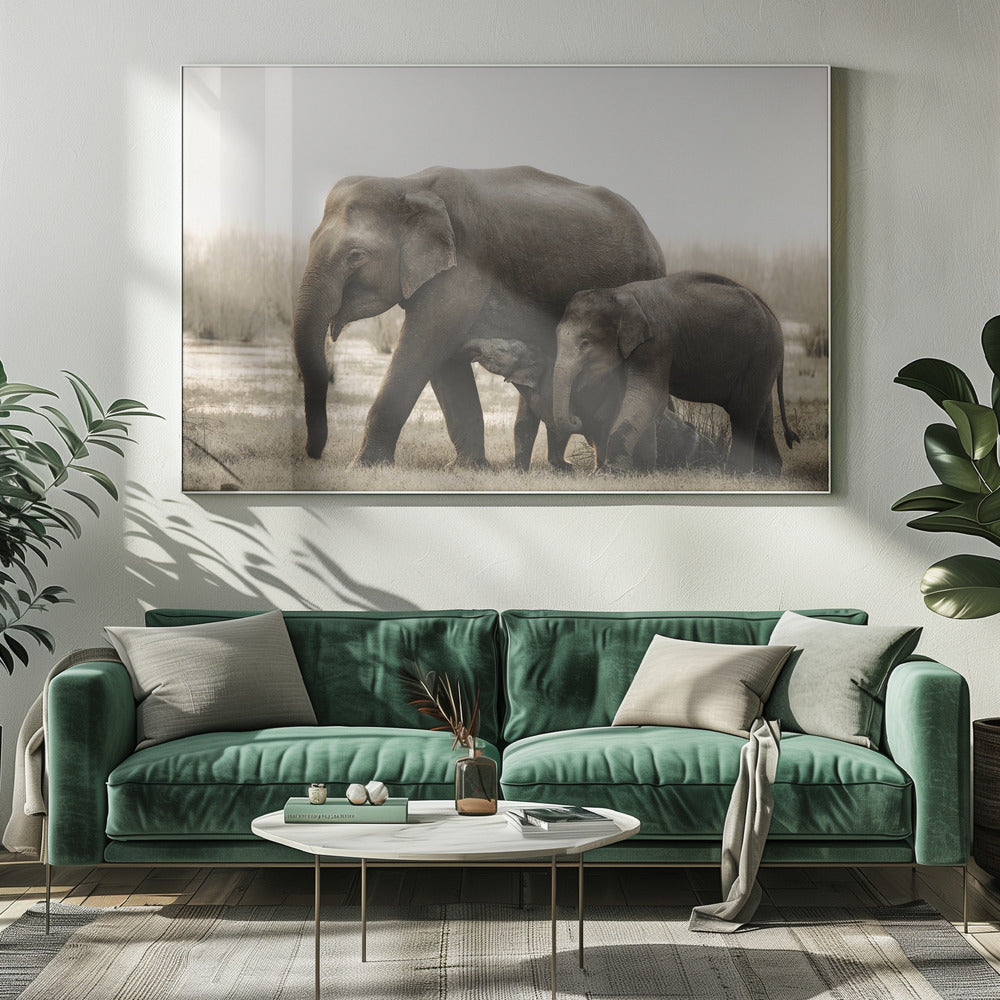 family portrait | Canvas