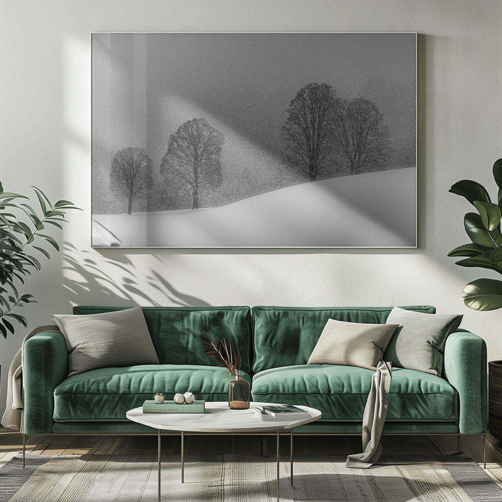 snow white | Canvas