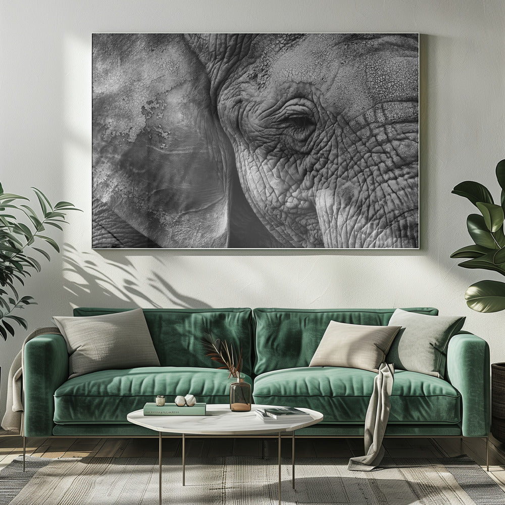 Peau d'éléphant | Tableaux sur Toile