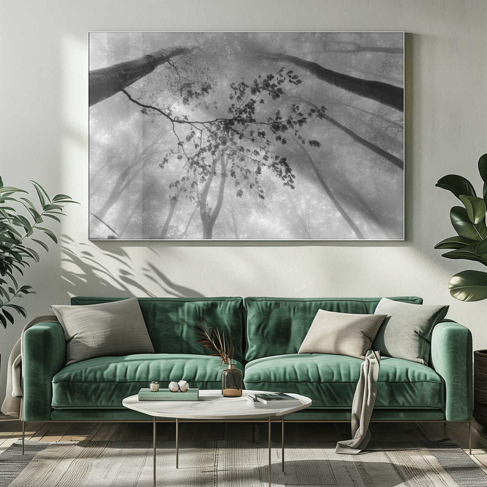 The branch | Canvas