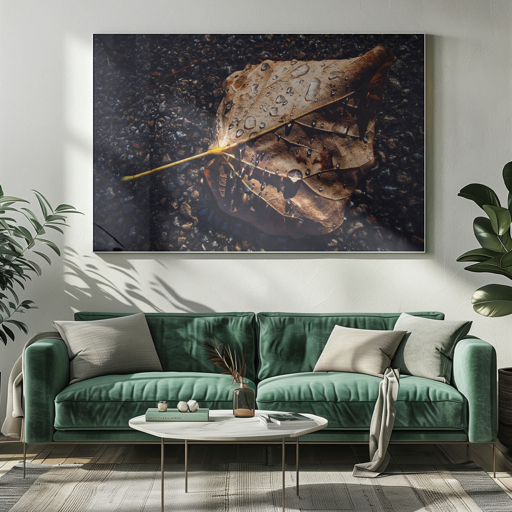 Leaf | Canvas