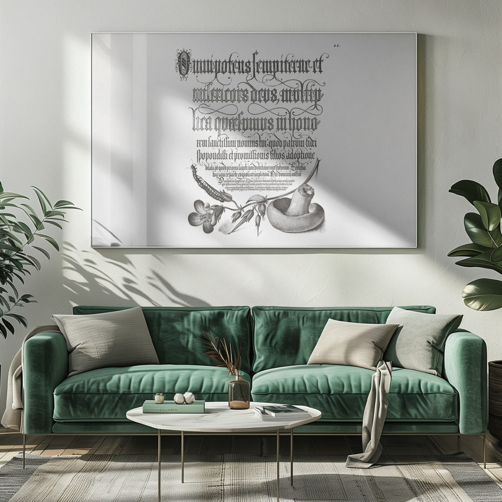 Mille-pattes, géranium des bois et champignon Bw Horizontal | Tableaux sur Toile