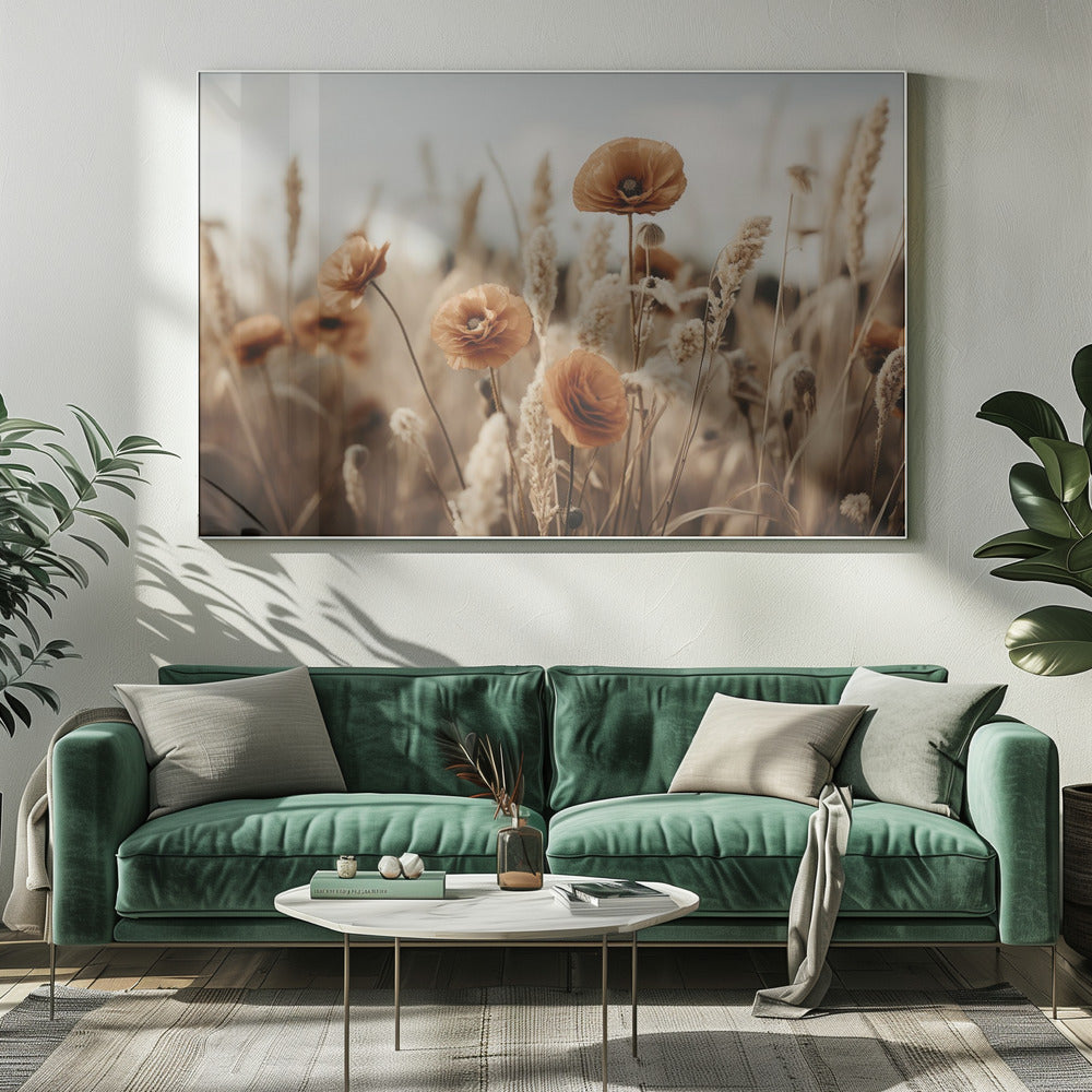 Oranje klaprozenveld | Canvasprints