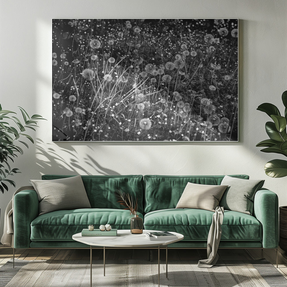 The dandelion field | Canvas