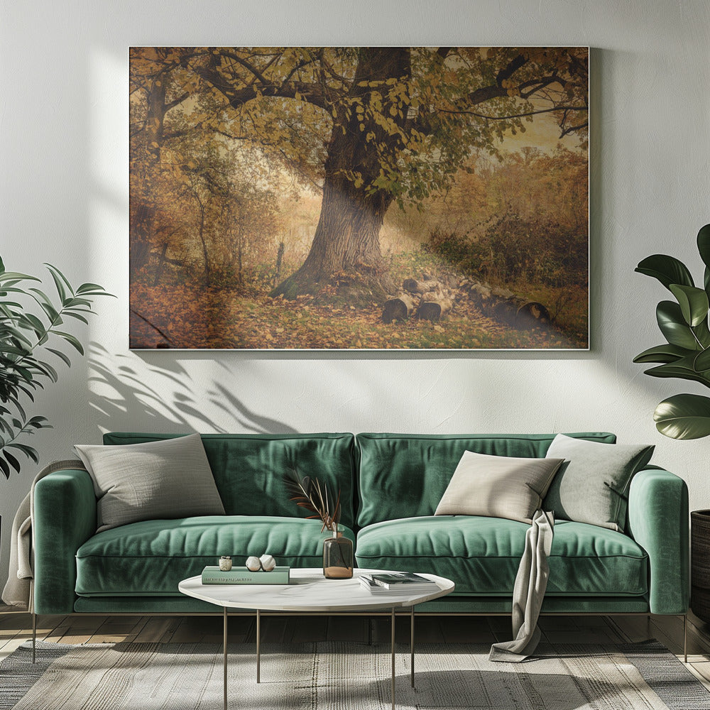 Gammalt träd | Canvas