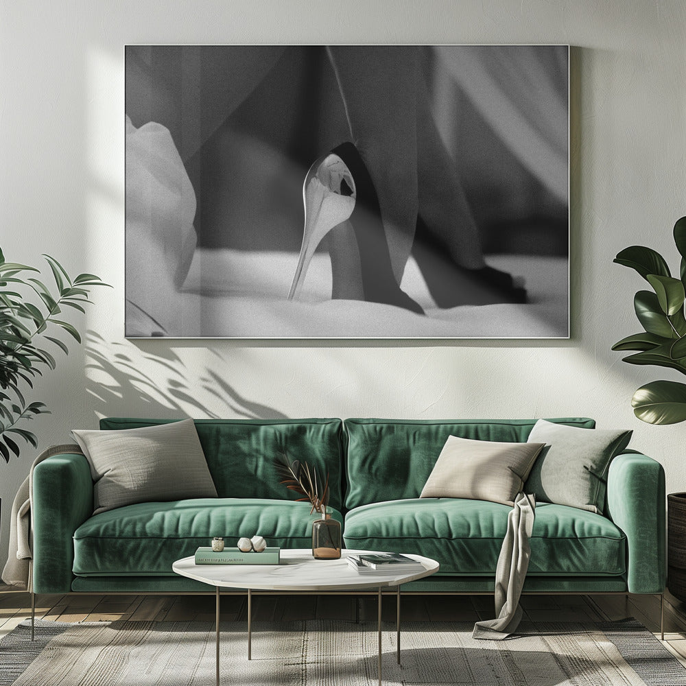 Moscova | Canvas