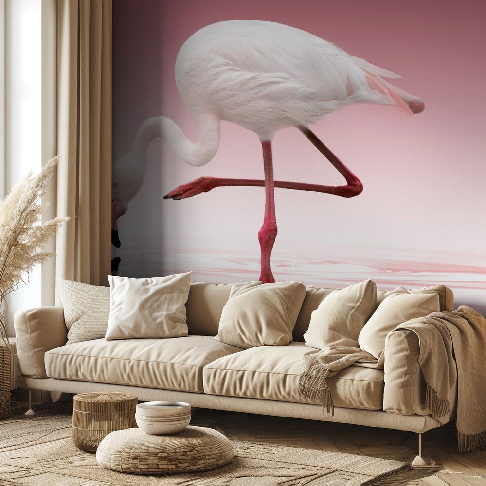 Flamingo | Fototapet