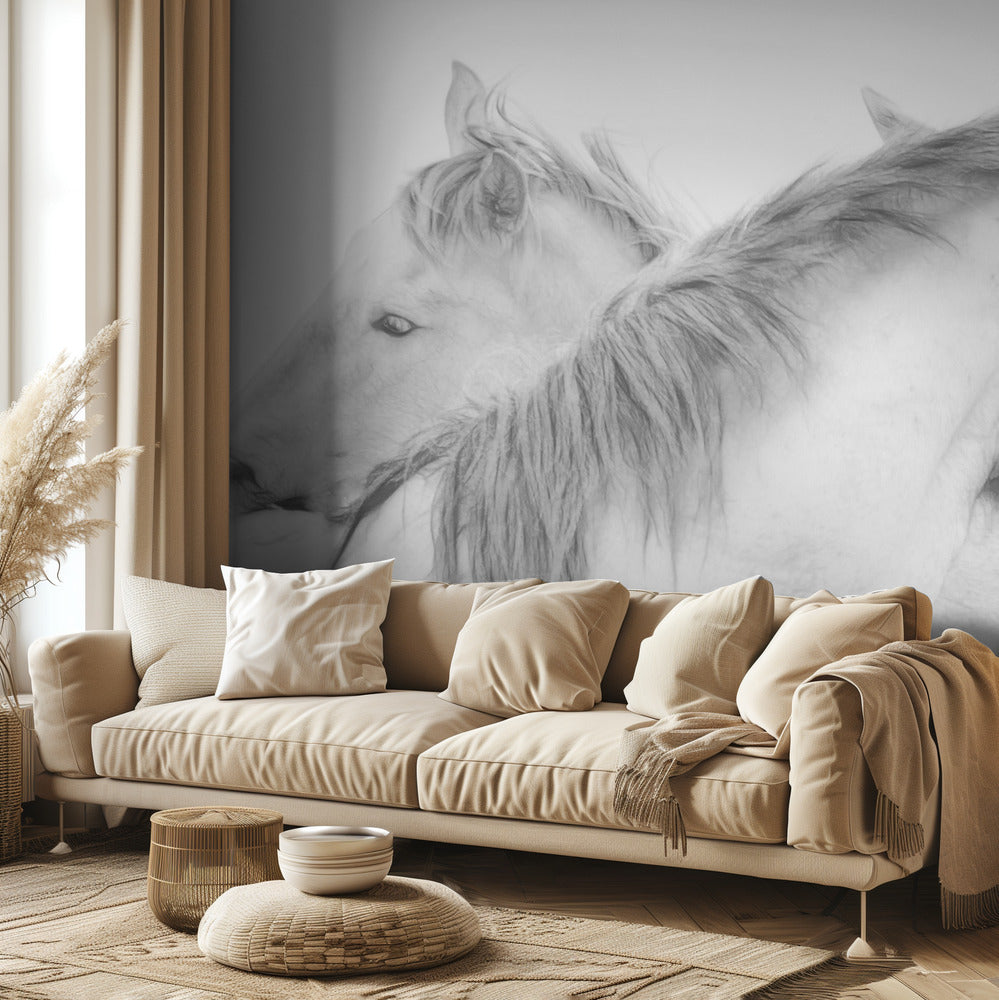 Chevaux | Papier Peint Photo