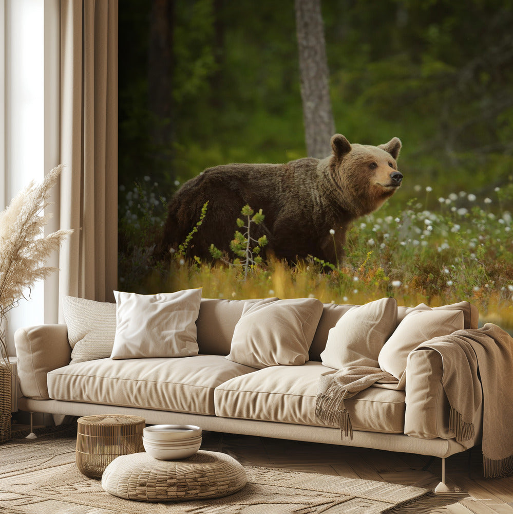 Brown Bear | Wallpaper