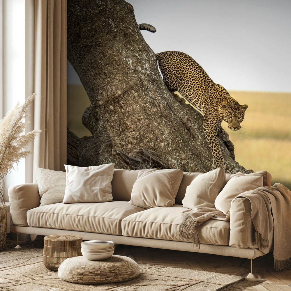 Leopard – Serengeti, Tansania | Fototapeten