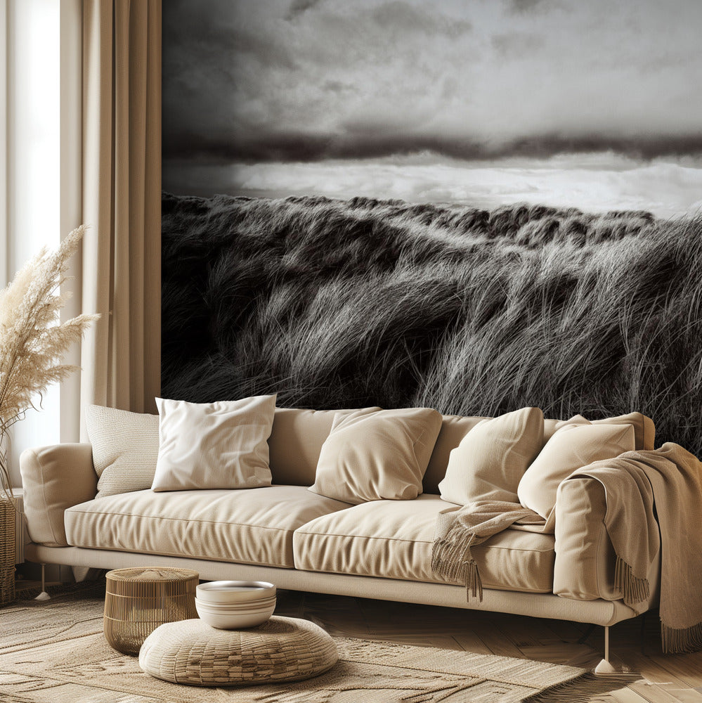 Dunes d'herbe | Papier Peint Photo
