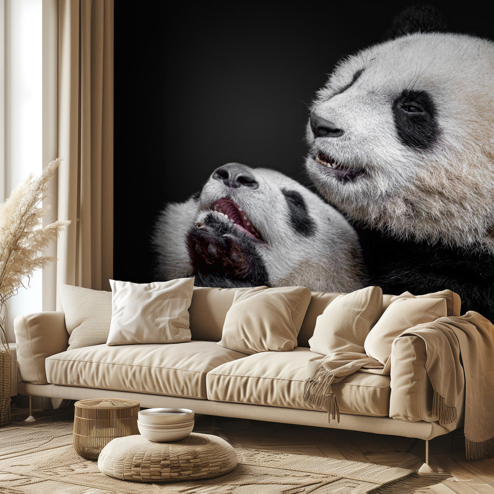 Pandas | Wallpaper