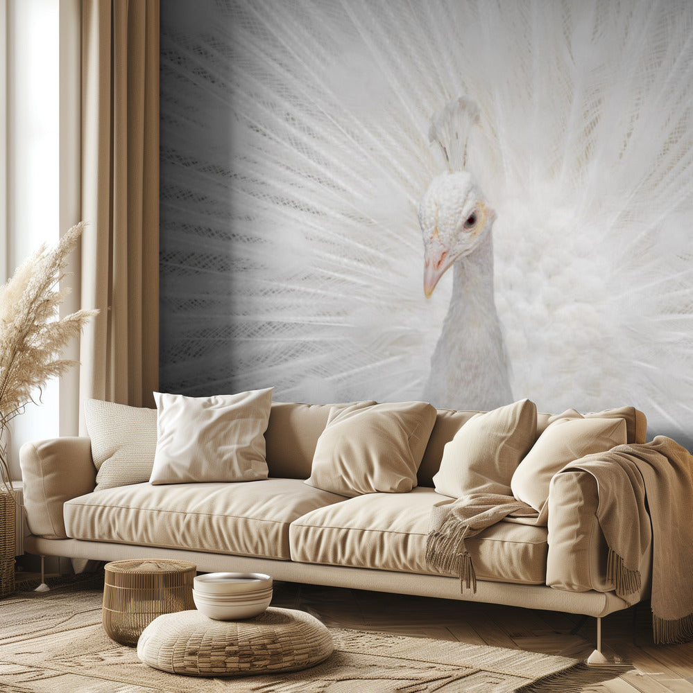 Espléndido Whitie | Papel Pintado Fotográfico