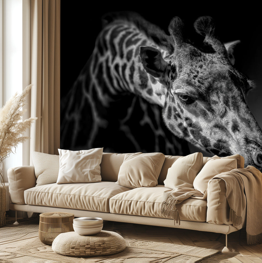 Giraff | Fototapet