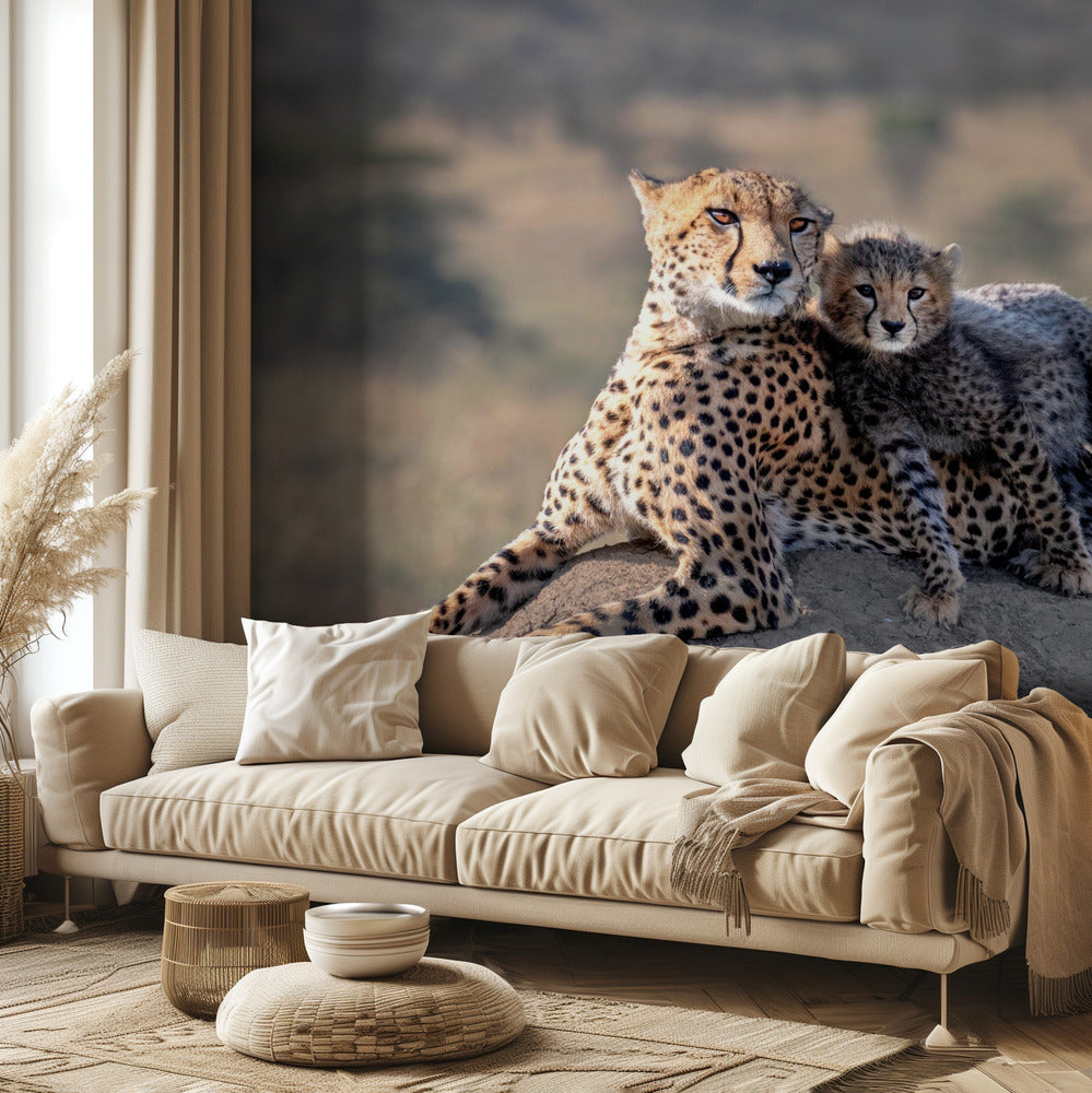 Gepard und Tasse! | Fototapeten