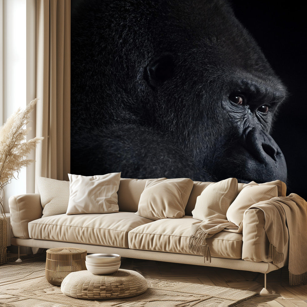 Gorillablick | Fototapeten