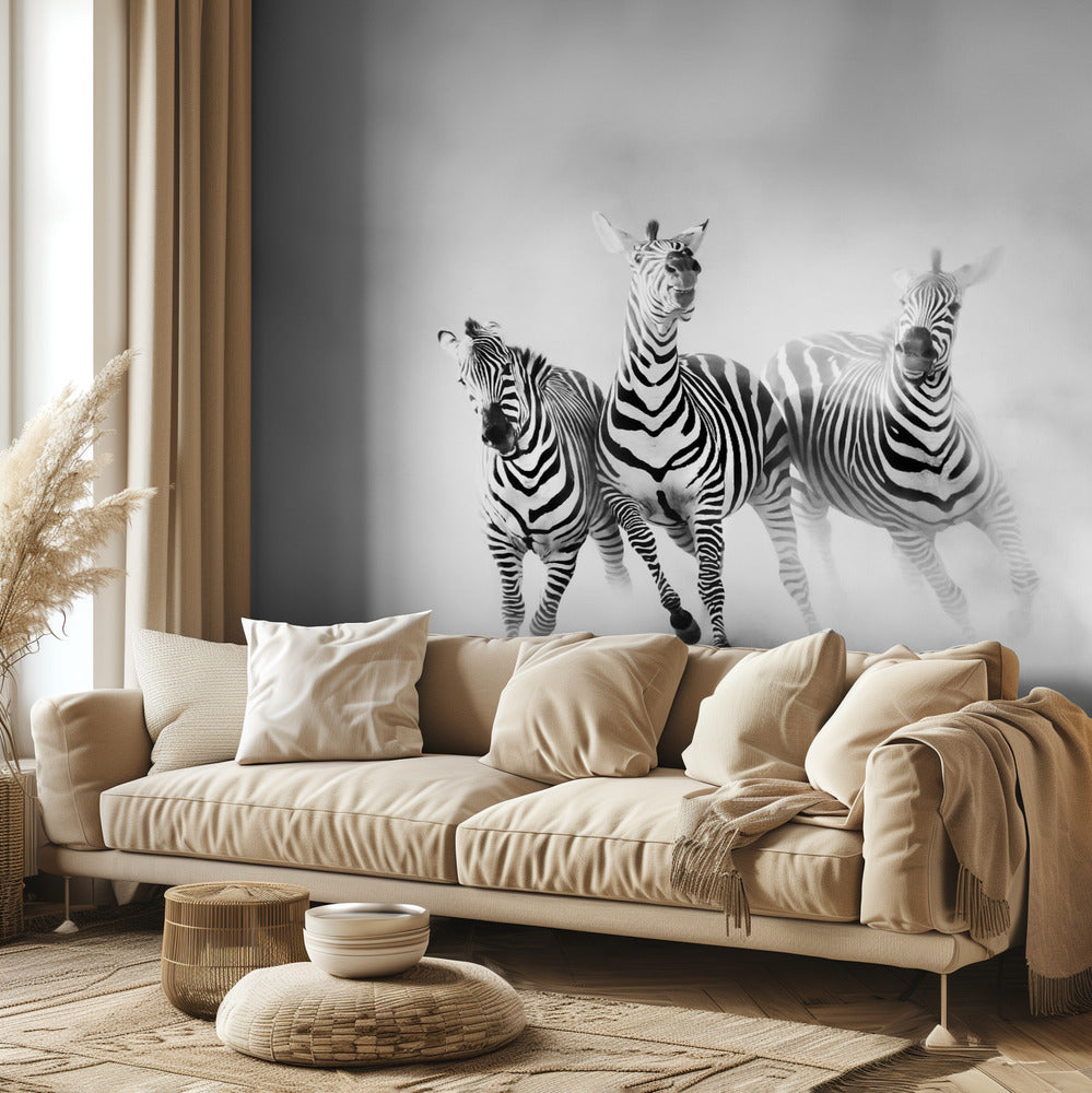 ZEBRAS | Wallpaper