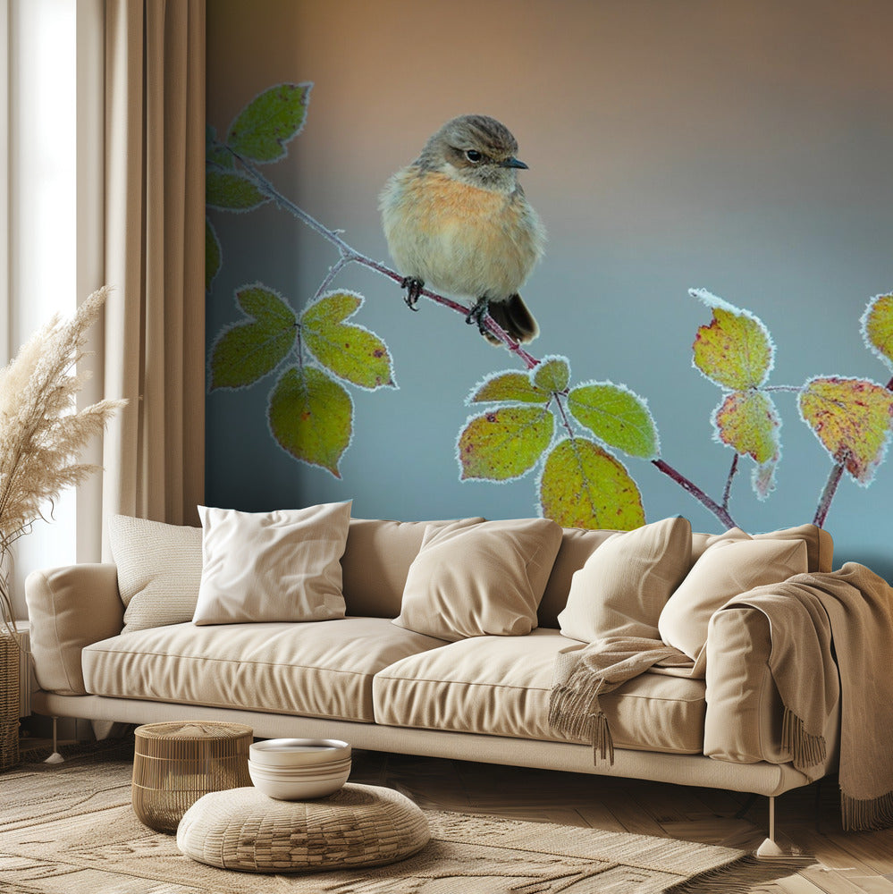 Colores de invierno | Papel Pintado Fotográfico