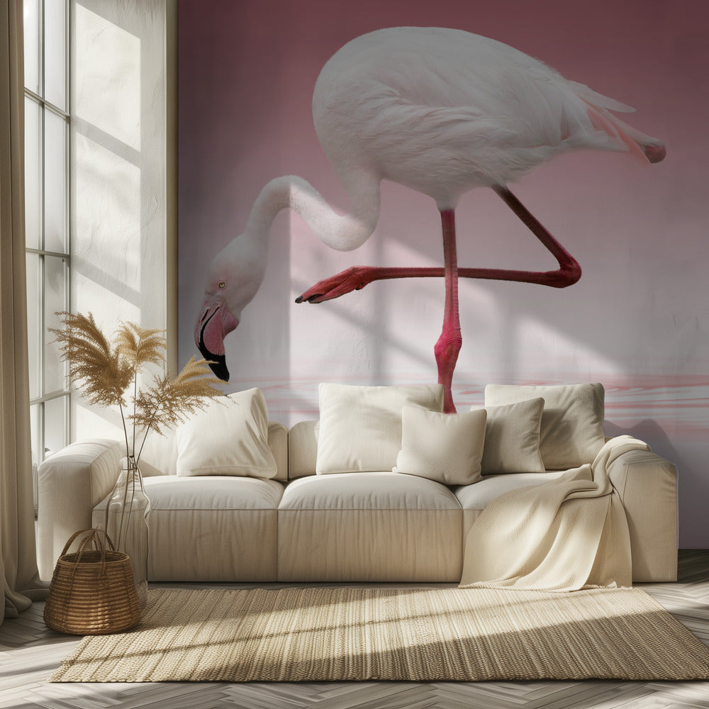 Flamingo | Fototapet
