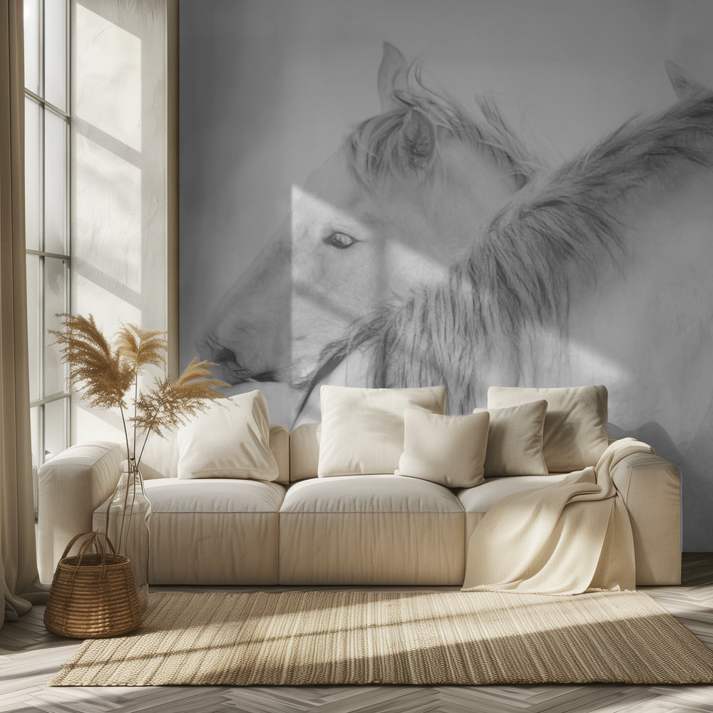 Chevaux | Papier Peint Photo