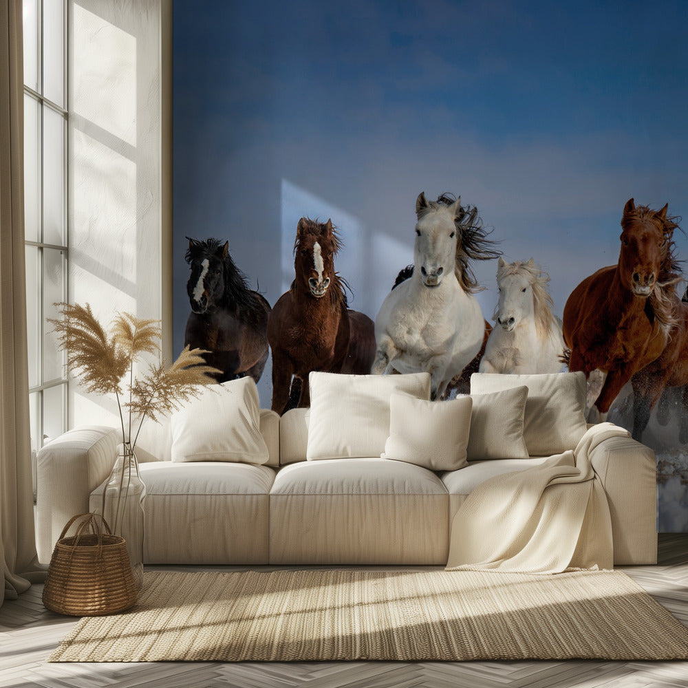 Caballos de Mongolia | Papel Pintado Fotográfico