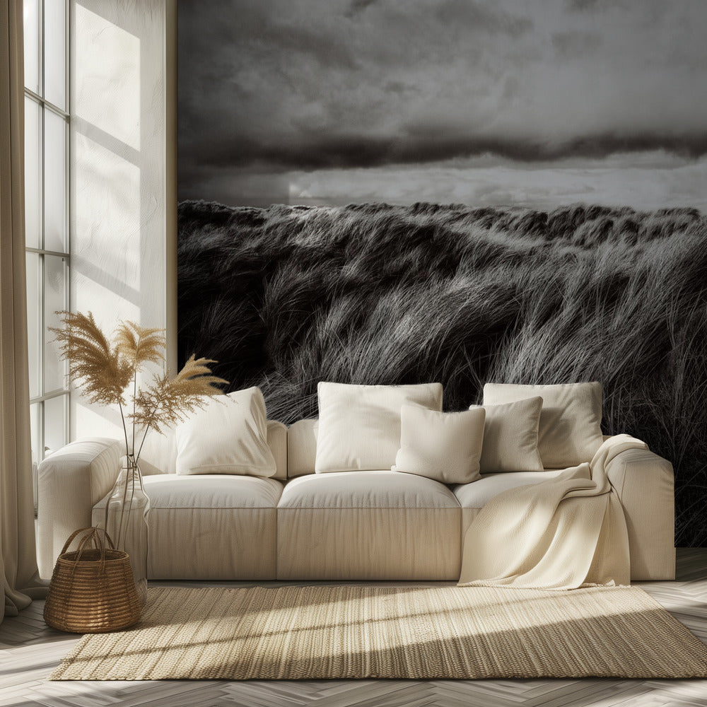 Dunes d'herbe | Papier Peint Photo