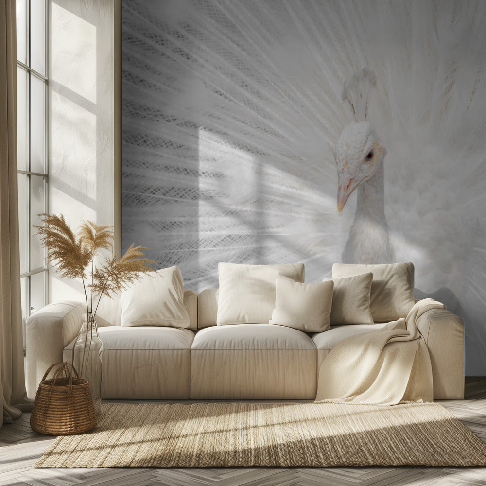 Espléndido Whitie | Papel Pintado Fotográfico