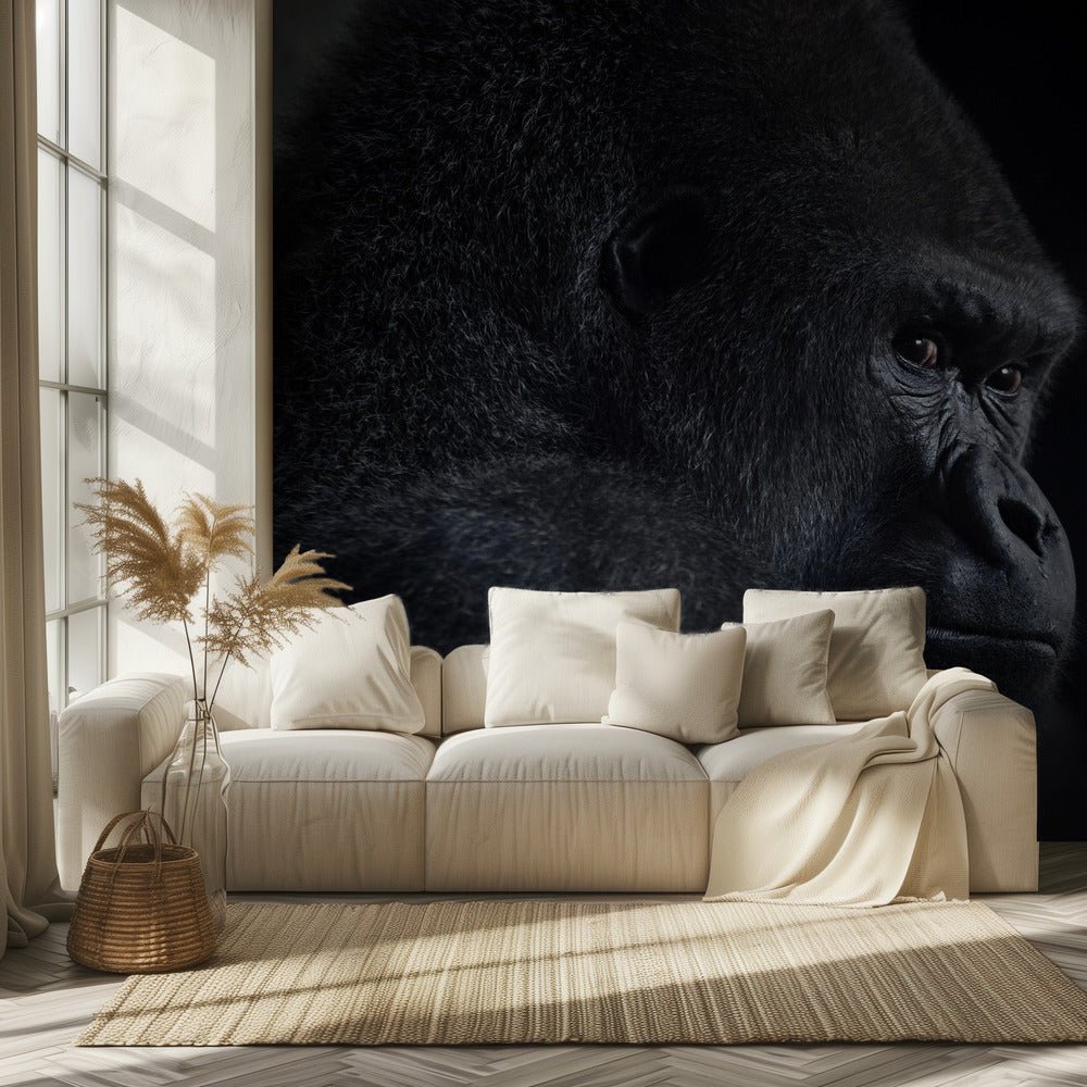 Gorillablick | Fototapeten