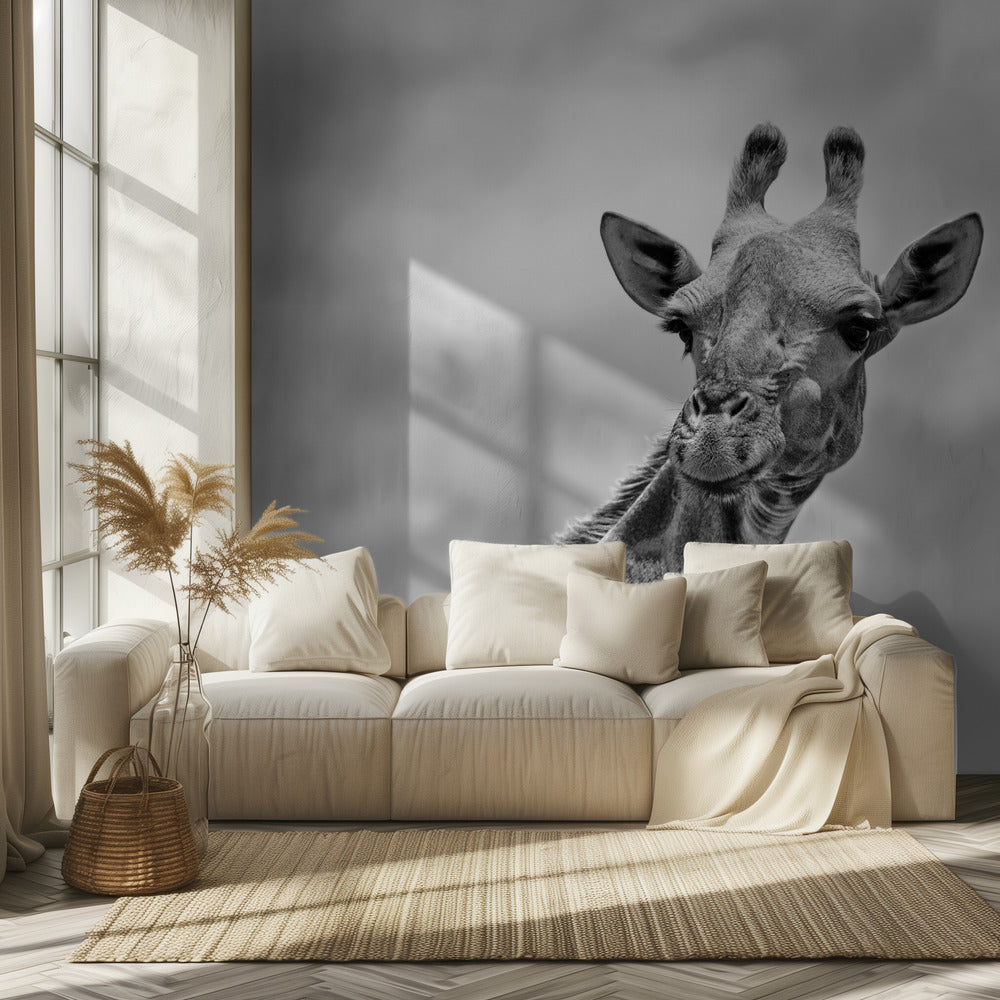 The giraffe - Wildlife V | Wallpaper