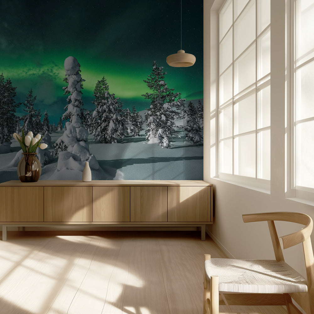 noche polar | Papel Pintado Fotográfico