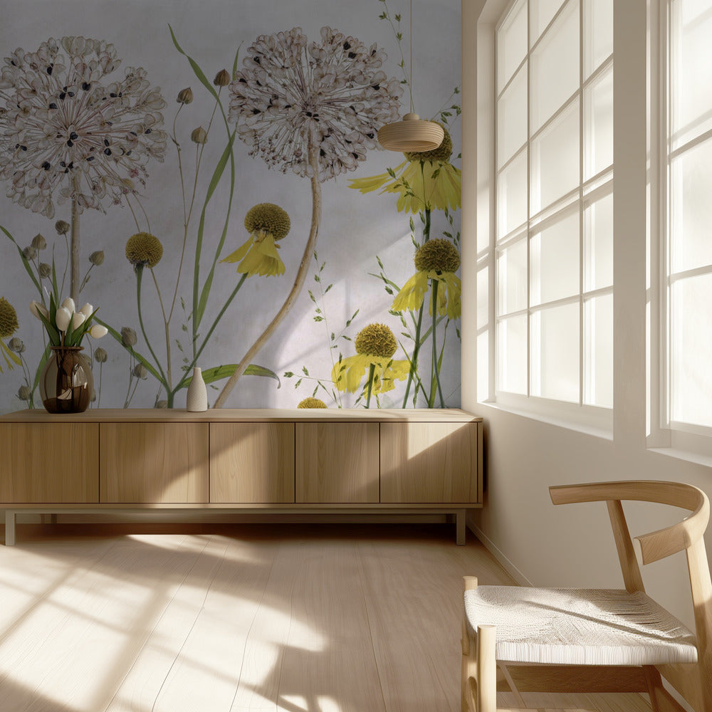 Allium och helenium | Fototapet