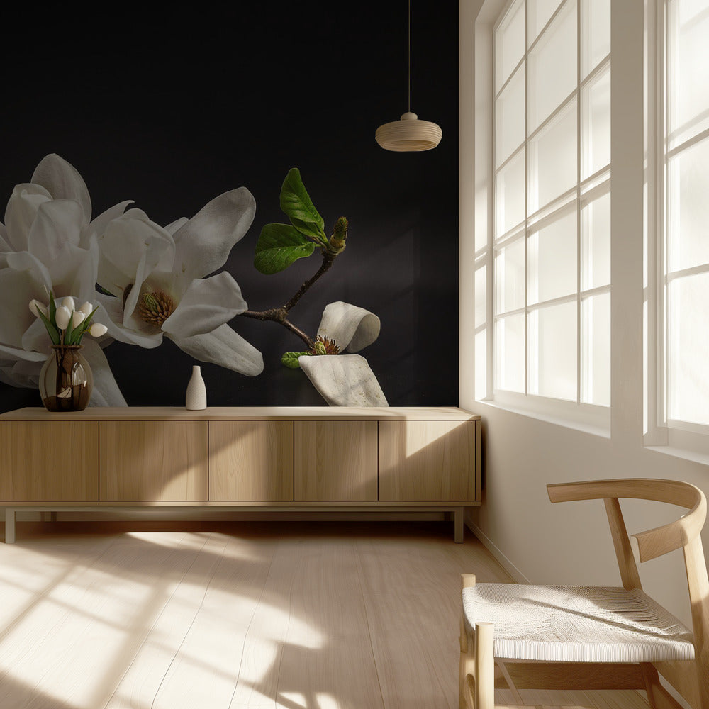 Magnolia | Fototapeter