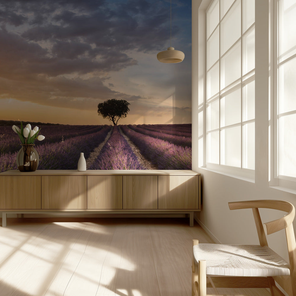 DESTINATION LAVENDEL | Fototapet