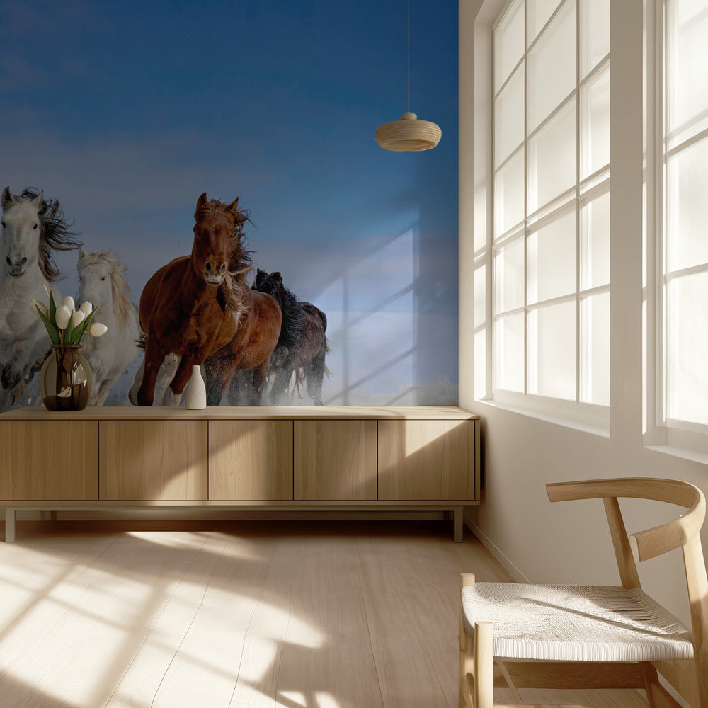 Caballos de Mongolia | Papel Pintado Fotográfico