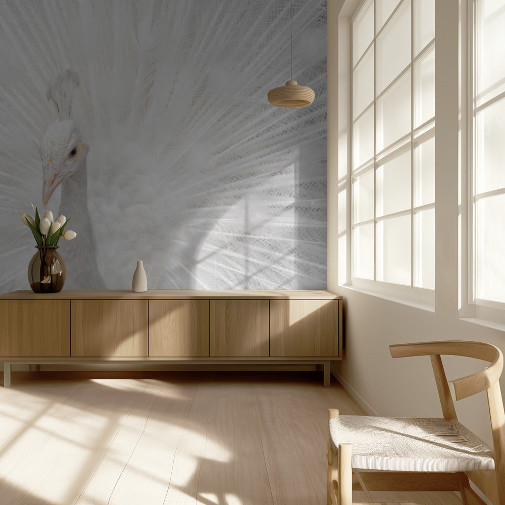Espléndido Whitie | Papel Pintado Fotográfico