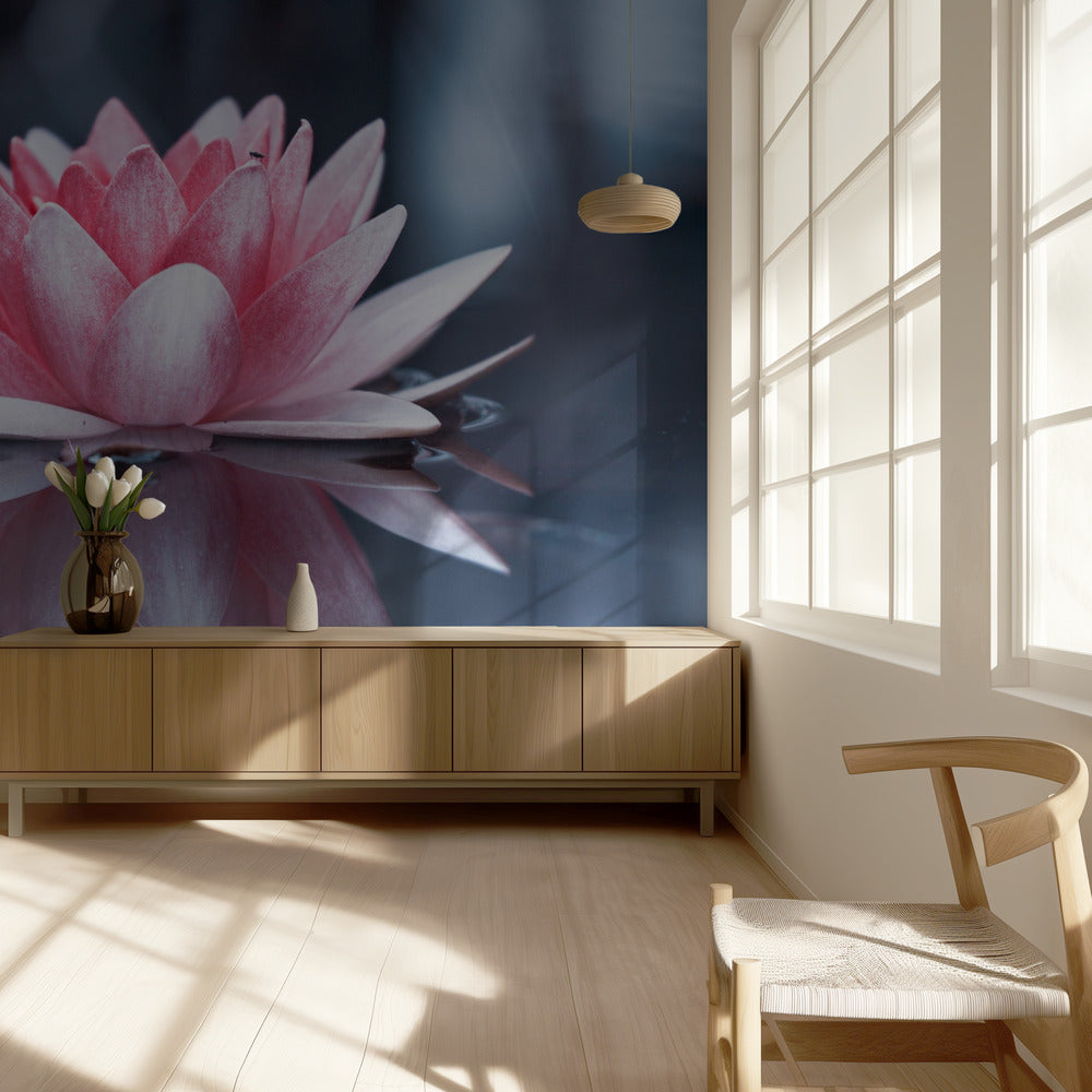 Padmasana | Papier Peint Photo