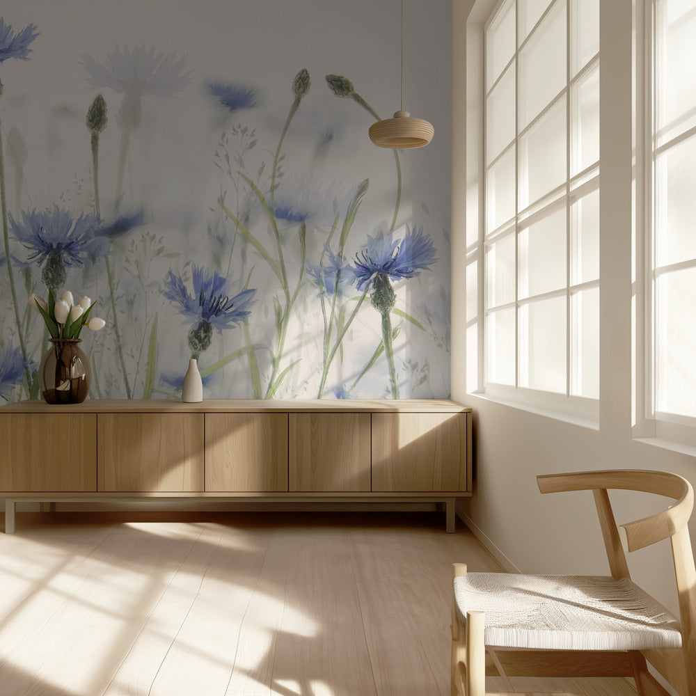 Bleuets | Papier Peint Photo