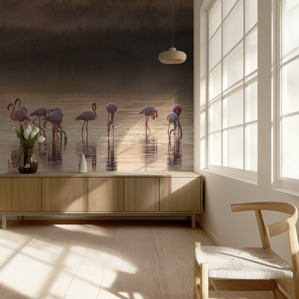 Oda fotográfica a Monet | Papel Pintado Fotográfico