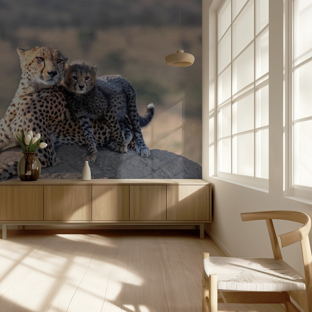 Gepard und Tasse! | Fototapeten