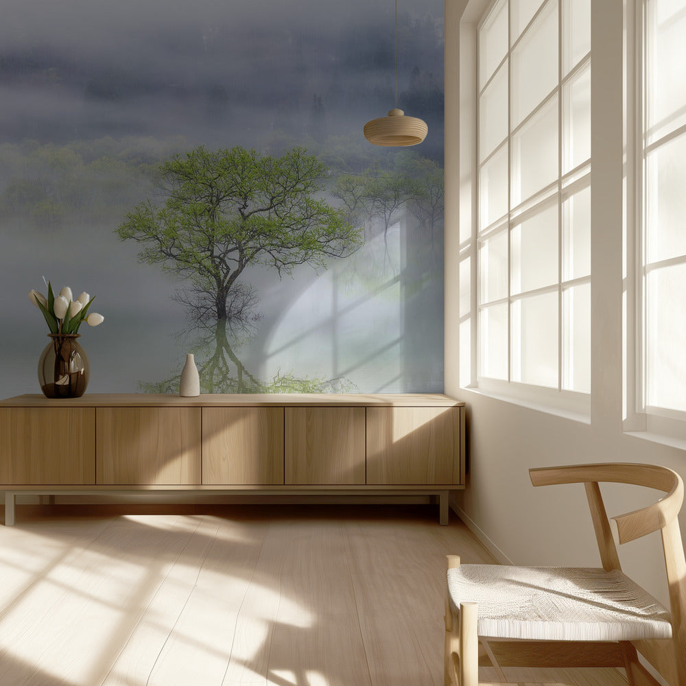 Árbol de ensueño | Papel Pintado Fotográfico