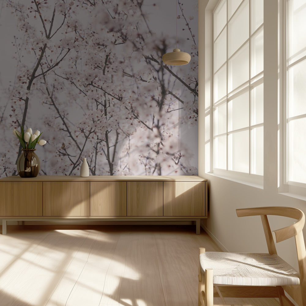 Fleurs de printemps | Papier Peint Photo