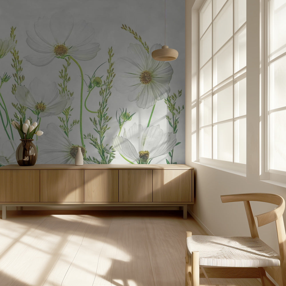 Jardin des Cosmos | Papier Peint Photo