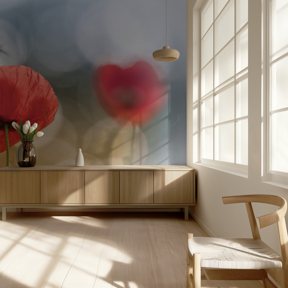 Coquelicots du matin | Papier Peint Photo