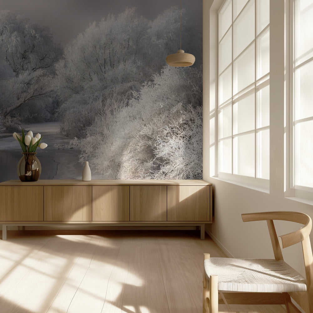 Canción de invierno | Papel Pintado Fotográfico