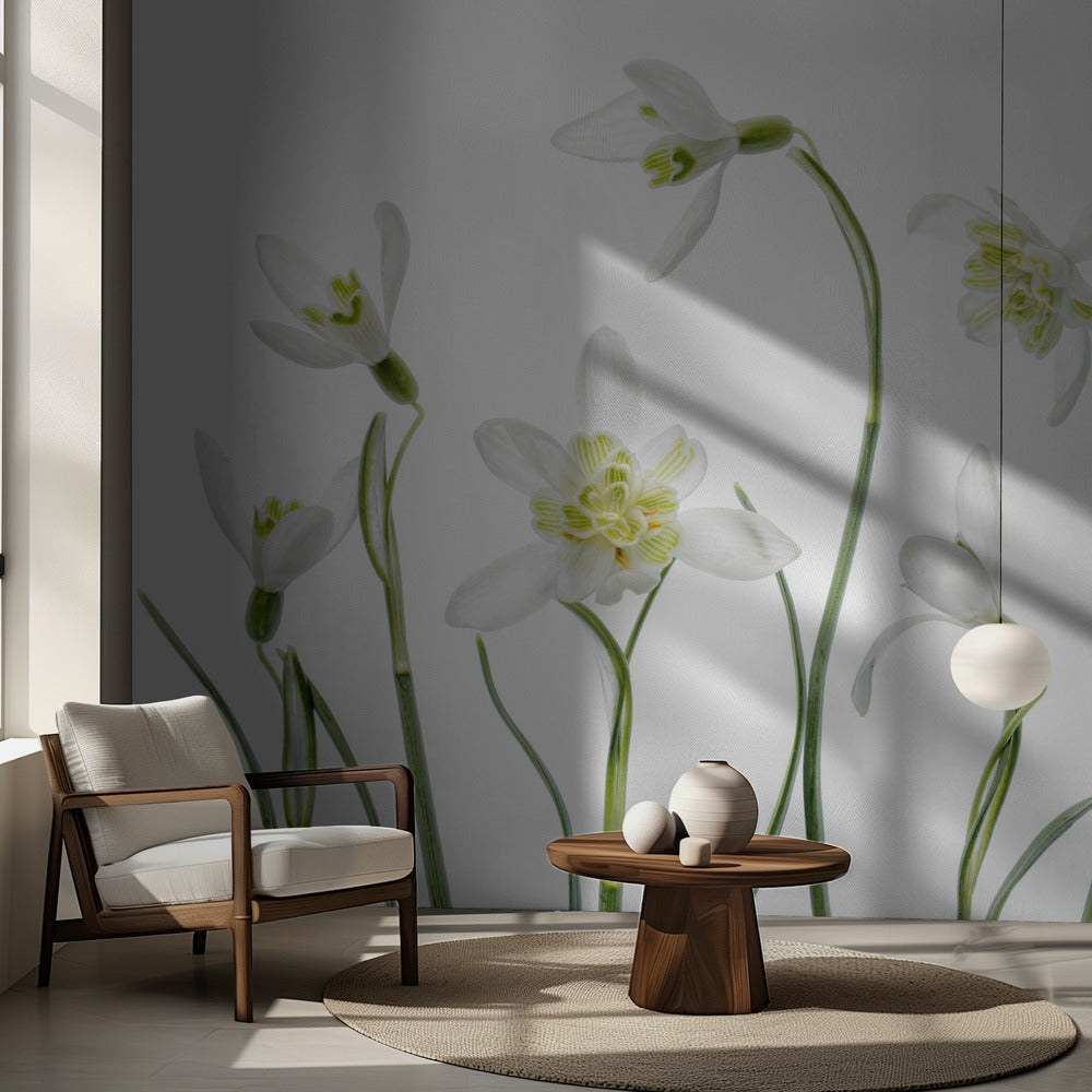 Perce-neige de printemps | Papier Peint Photo